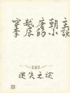穿越唐朝主角叫李辰的小说