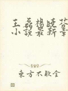王磊杨晓芬王森小说最新章节免费更新