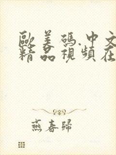 欧美码.中文字精品视频在线观看