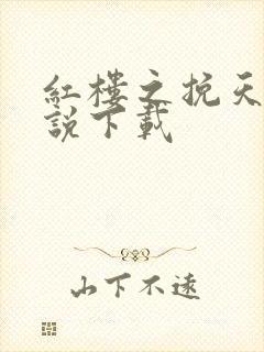 红楼之挽天倾小说下载