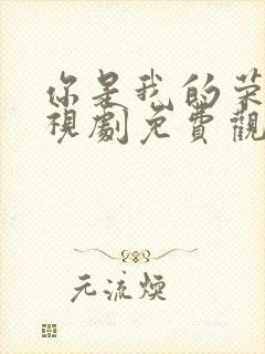 你是我的荣耀电视剧免费观看高清