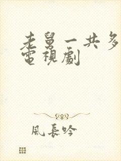 老舅一共多少集电视剧