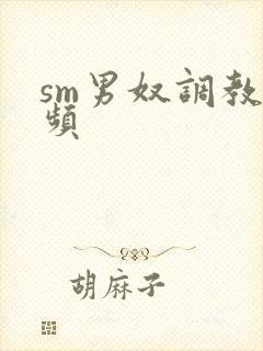 sm男奴调教视频封面