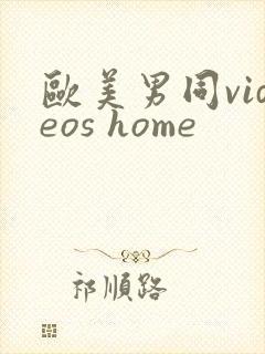 欧美男同videos home