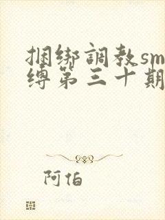 捆绑调教sm束缚第三十期