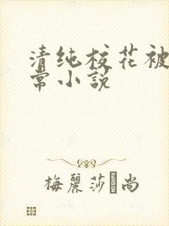 清纯校花被肉日常小说