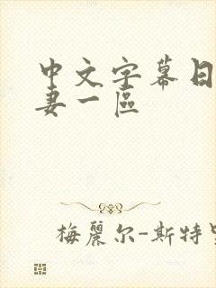 中文字幕日韩人妻一区