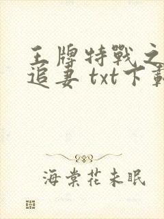 王牌特战之军少追妻 txt下载