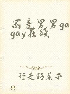 国产男男gaygay在线封面