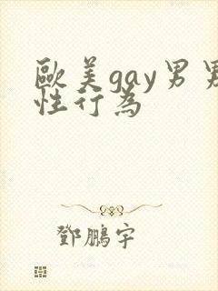 欧美gay男男性行为