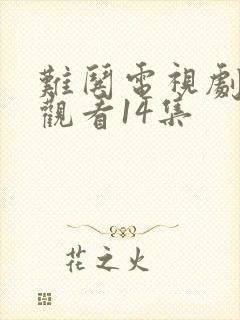 难哄电视剧免费观看14集