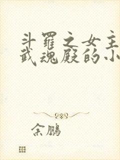 斗罗之女主加入武魂殿的小说