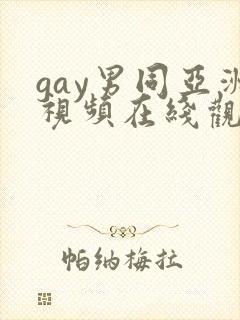 gay男同亚洲视频在线观看