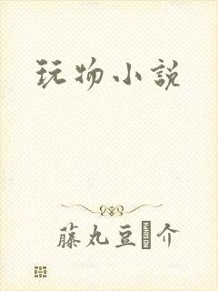 玩物小说