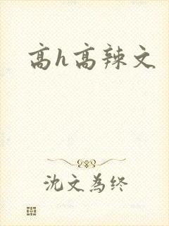 高h高辣文