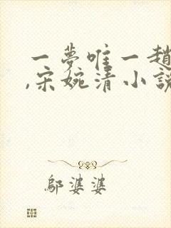 一梦唯一赵振国,宋婉清小说封面