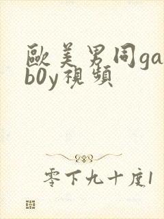 欧美男同gayb0y视频