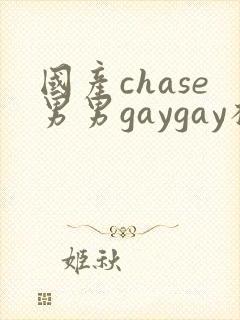 国产chase男男gaygay杨