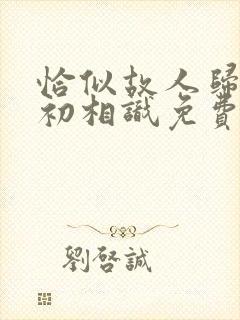 恰似故人归与君初相识免费看
