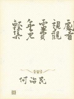 轻年电视剧40集免费观看全集