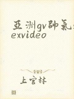 亚洲gv帅气sexvideo