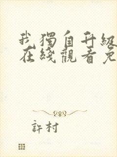 我独自升级中文在线观看免费封面