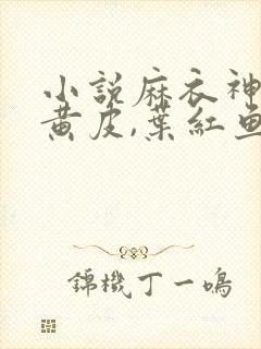 小说麻衣神婿陈黄皮,叶红鱼