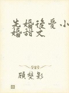 先婚后爱小说军婚甜文