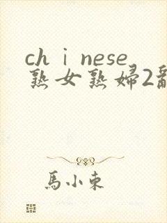 chⅰnese熟女熟妇2乱封面