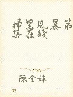 扫黑风暴第23集在线