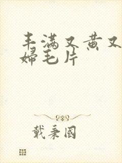 丰满又黄又爽少妇毛片