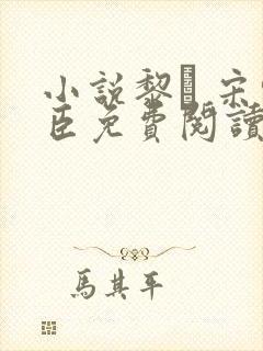 小说黎� 宋轻臣免费阅读