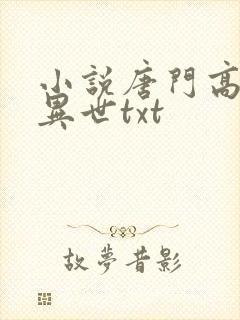小说唐门高手在异世txt
