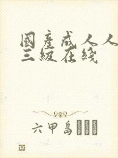 国产成人人精品三级在线