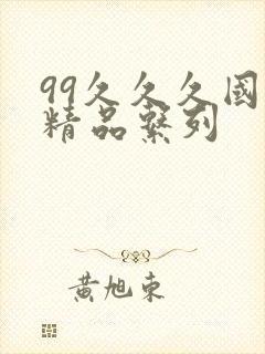 99久久久国产精品系列