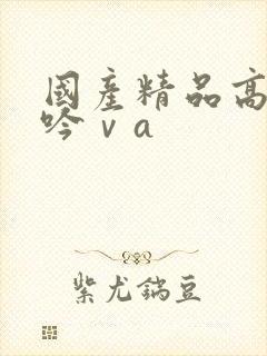 国产精品高潮呻吟ⅴa