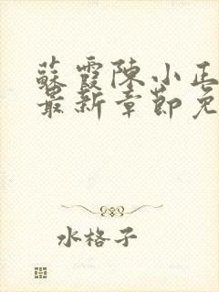 苏霞陈小正小说最新章节免费阅读