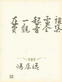 在一起电视剧免费观看全集完整版