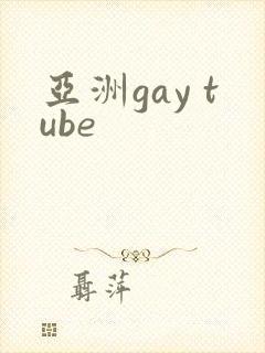 亚洲gay tube