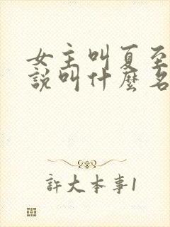 女主叫夏至的小说叫什么名字