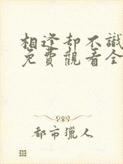 相逢却不识短剧免费观看全集