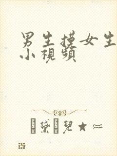 男生摸女生的胸小视频