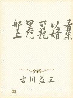 哪里可以看小说上门龙婿叶辰