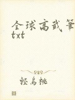 全球高武笔趣阁txt