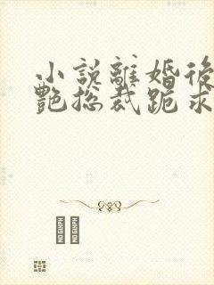 小说离婚后,冷艳总裁跪求复婚完整版