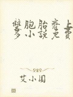 双胞胎齐上阵许多小说免费阅读封面
