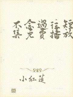 不念过往短剧全集免费播放