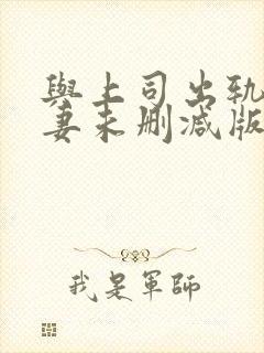 与上司出轨的人妻未删减版封面