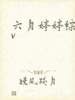 六月婷婷综合av