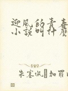 迎风的青春原著小说叫什么